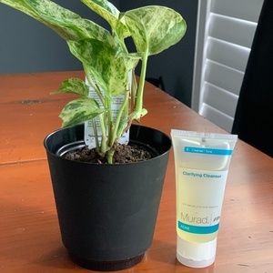 Murad Clarifying Cleanser